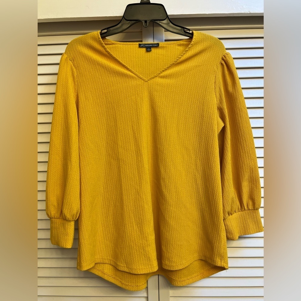 Women’s Sz Small Dressy Top